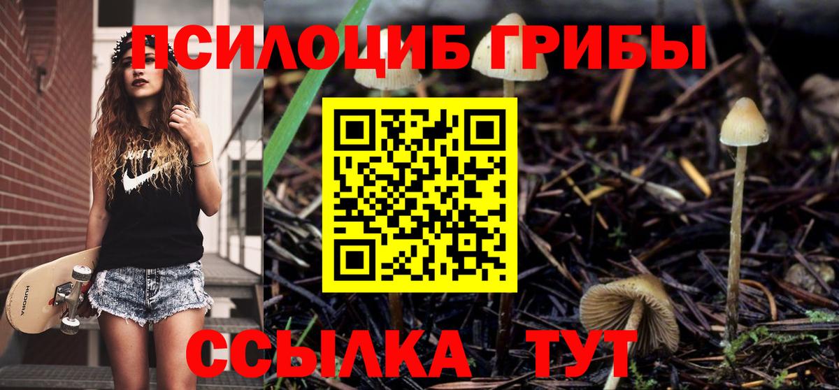 Удомля  Галлюциногенные грибы ЛСД  хочу наркоту  Вход с VPN 